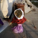 phoca_thumb_m_n.d.  2 Fotogalerie